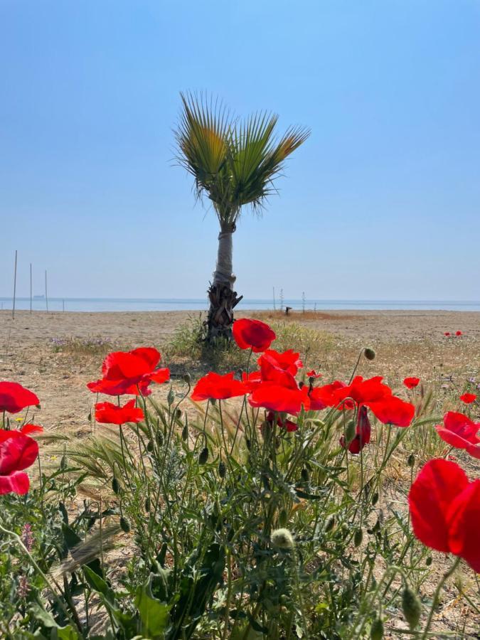 Nova Port Boutique Hotel Tekirdağ Buitenkant foto